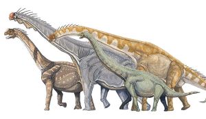 Sauropods